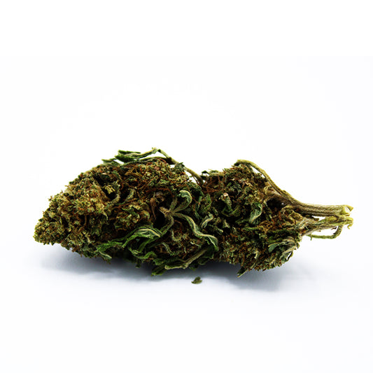 Fleurs de CBD Orange Bud